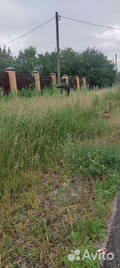 Покос любой травы