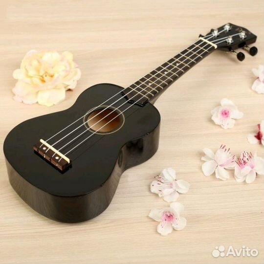 Укулеле сопрано terris JUS-10 BK