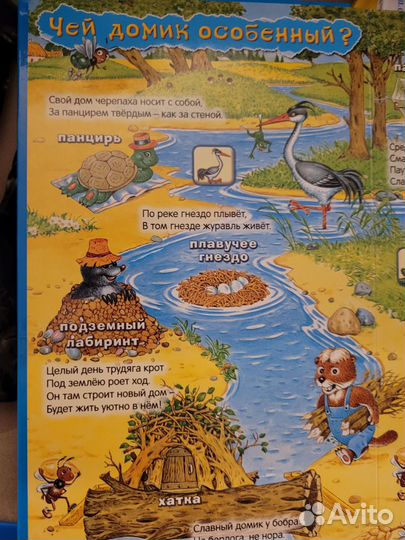 Развивающие книги