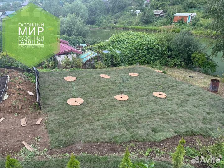 Рулонный газон