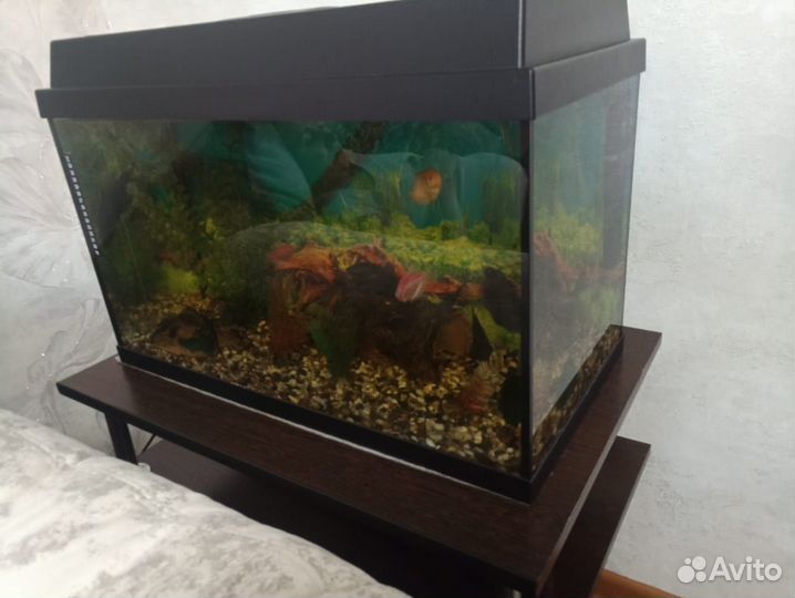 Аквариум