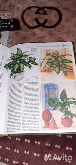 Большая книга Всё о комнатных растениях