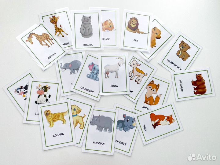 Детские развивающие карточки
