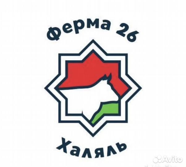 Продавец кассир