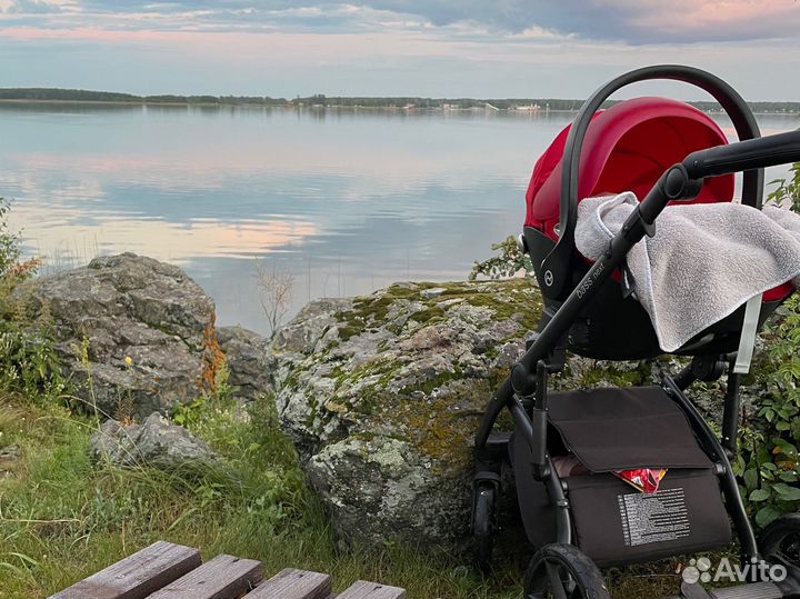 Коляска 2 в 1 roan bass next