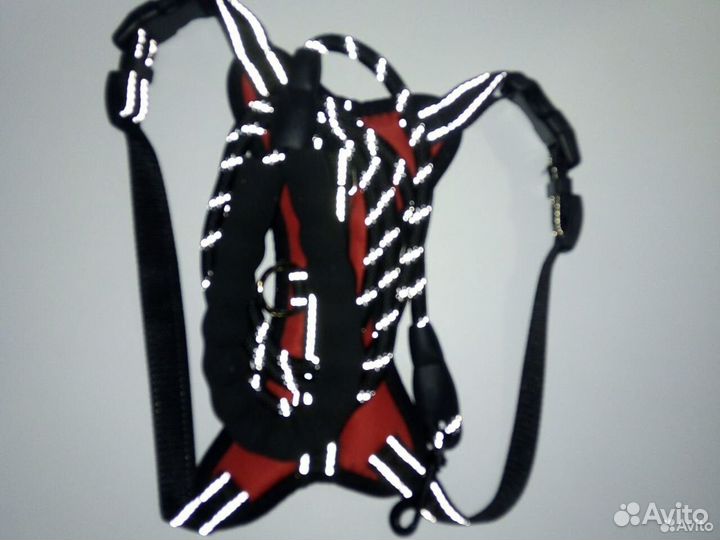 Шлейка и поводок на среднюю собаку