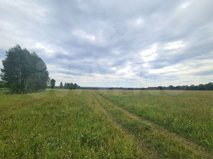 Участок 3,9 га (СНТ, ДНП)