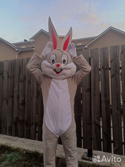 Поздравление от кролика/зайца