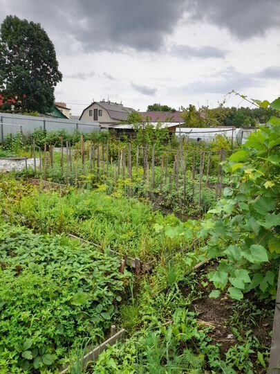 Дом 62 м² на участке 7 сот.