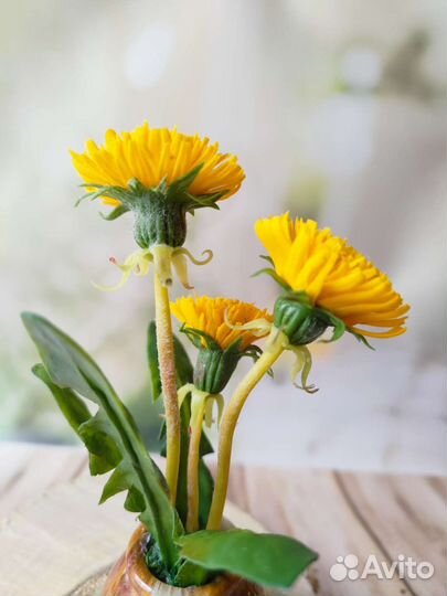 Цветы одуванчики из холодного фарфора в ониксе