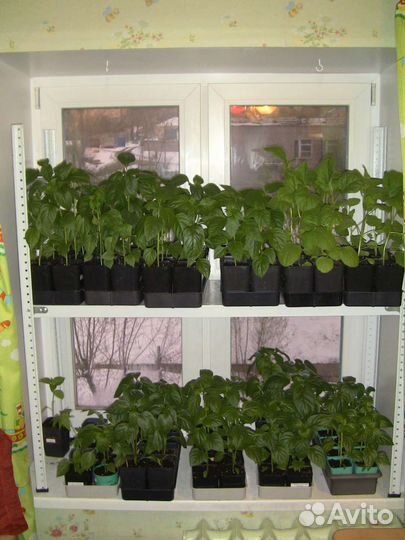 Стеллаж новый разборный металлический для рассады