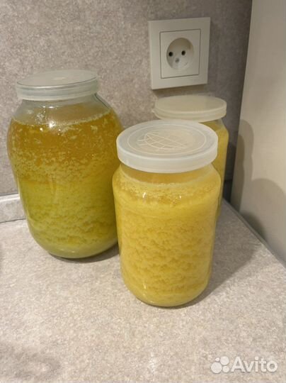 Масло сливочное топленое гхи