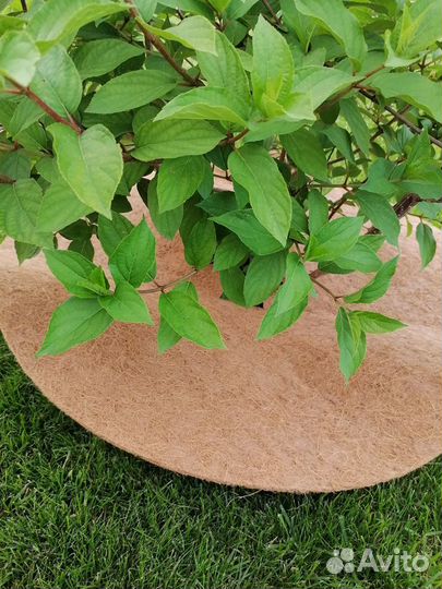 Приствольные кокосовые круги (7 шт)