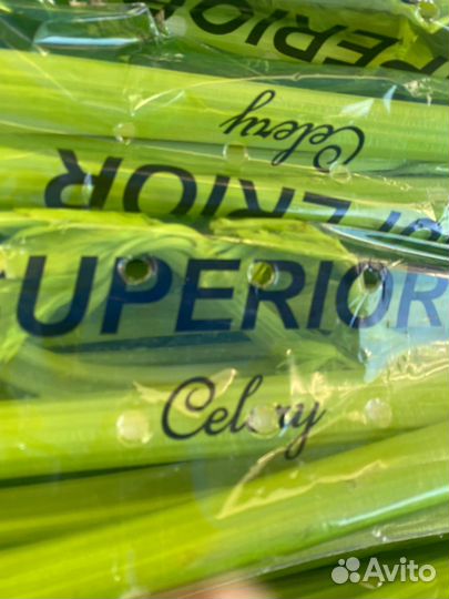 Сельдерей свежий