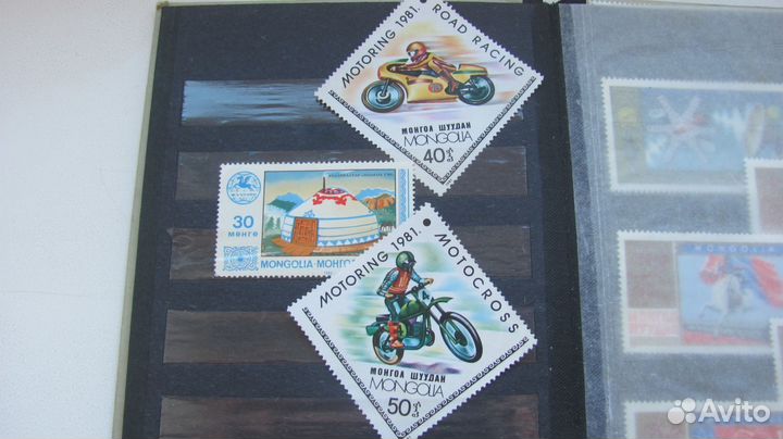 Монголия в люксе