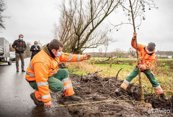 Разнорабочие / Подсобные рабочие/ Бригада рабочих