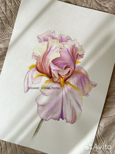 Цветы акварелью картина подарок