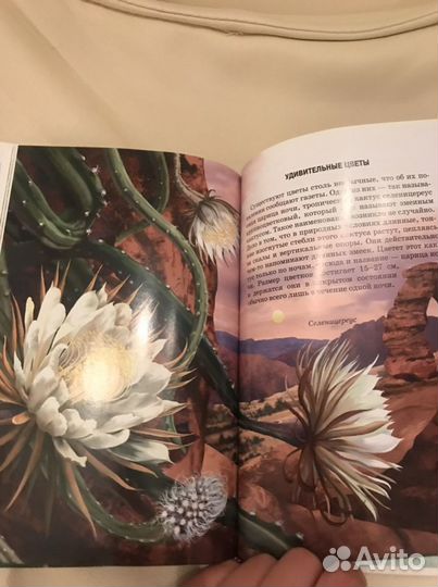 Школьный путеводитель (энциклопедии) 4 шт