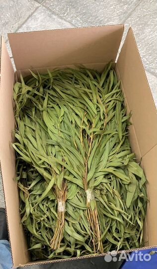 Эвкалиптовый веник