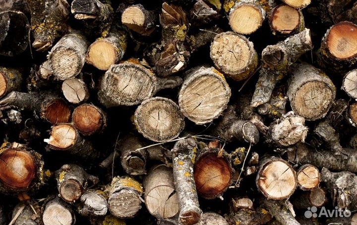 Дрова в город