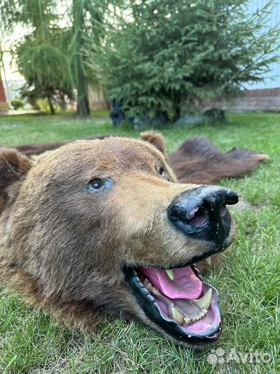 Медвежья шкура, имитация