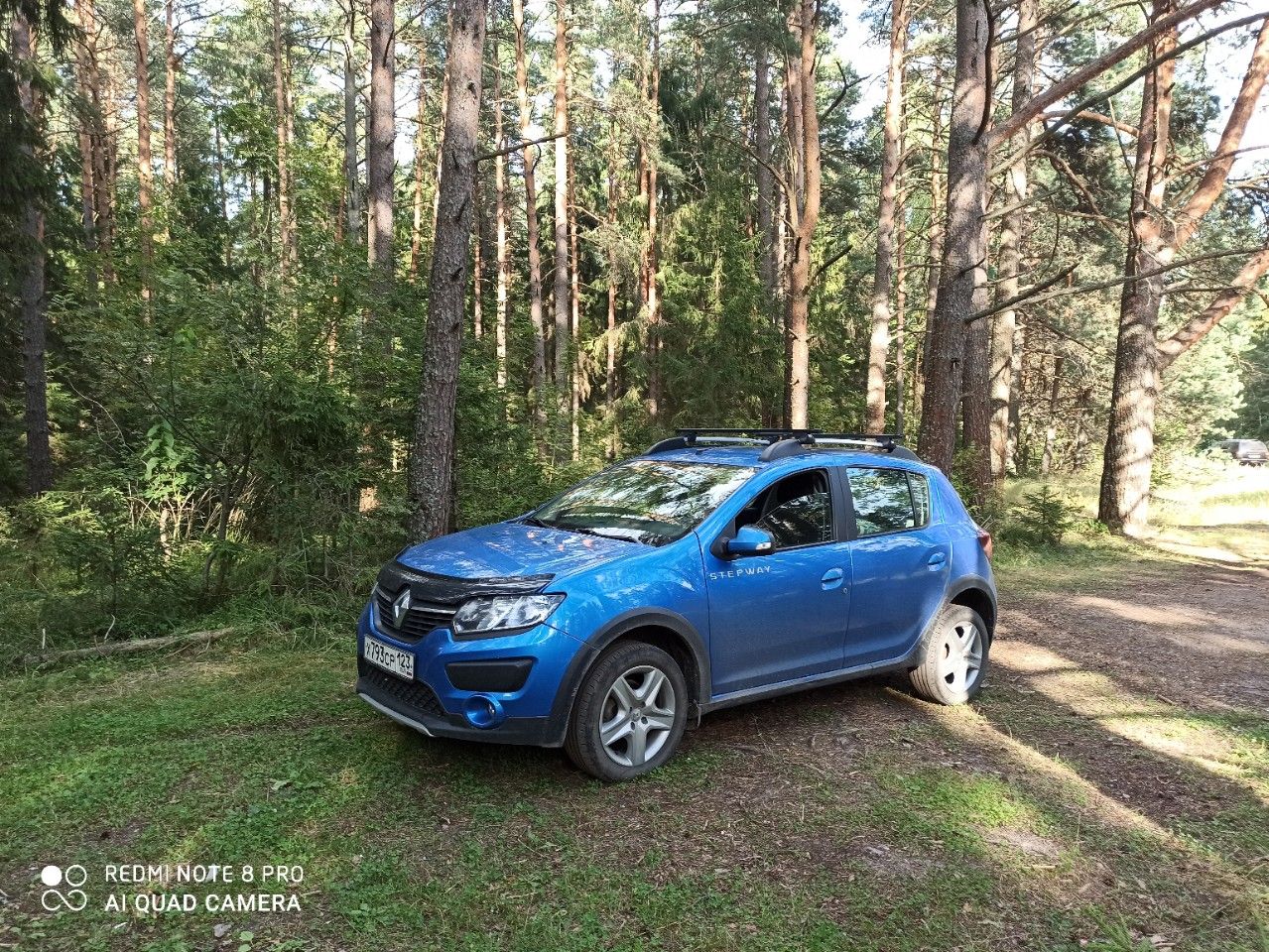 Renault Sandero Stepway: фото владельца