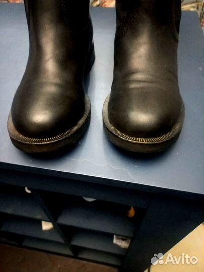 Сапоги tendance зима