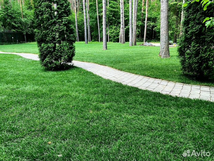 Рулонный газон укладка