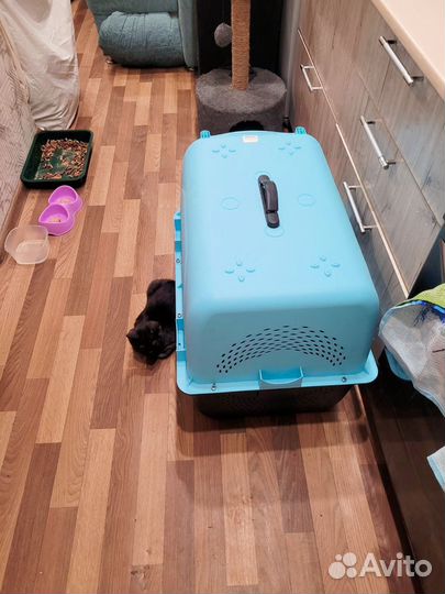 Переноска для собак большая