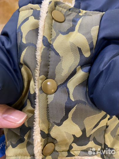 Одежда для маленьких собак