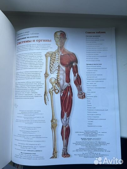 Большой атлас анатомии человека