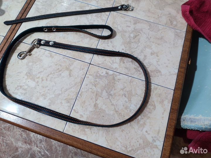 Ошейник с поводком для собак