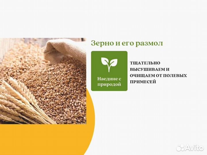 Пшеница Зерно (кг)