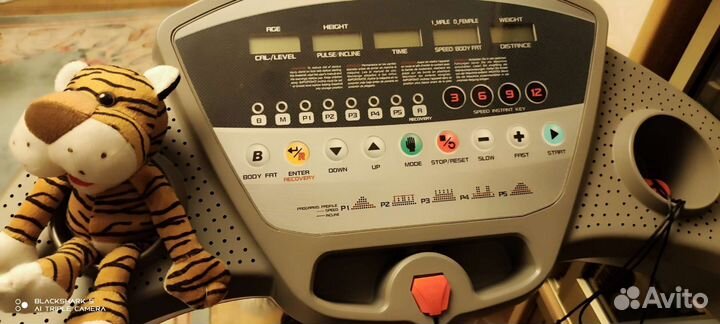 Беговая дорожка Tourneo