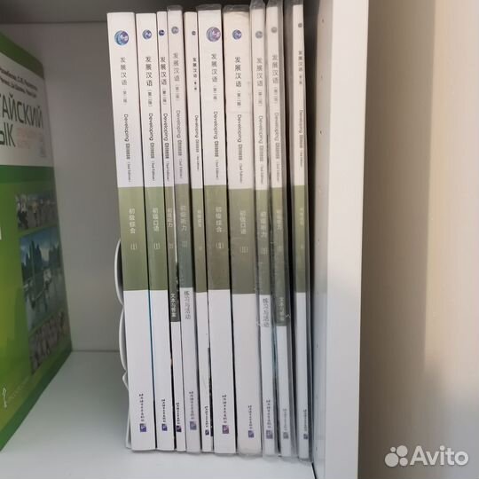 Developing Chinese Elementary