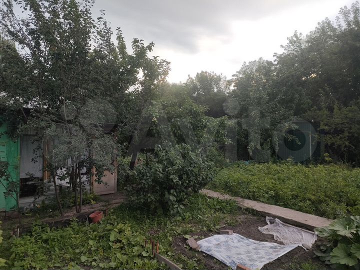 Участок 5 сот. (СНТ, ДНП)