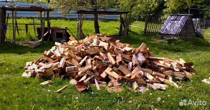 Дрова сухие навалом