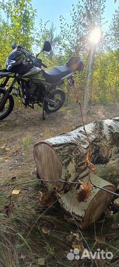 Regulmoto TE Tour Enduro 300