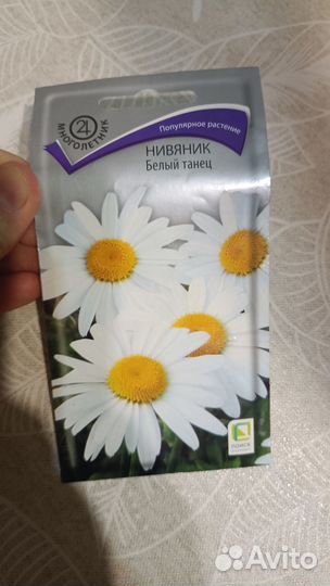 Семена цветы и томата