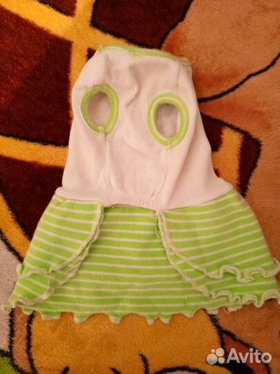 Одежда для маленьких собак