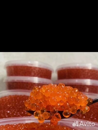 Красная икра улов 2023 года