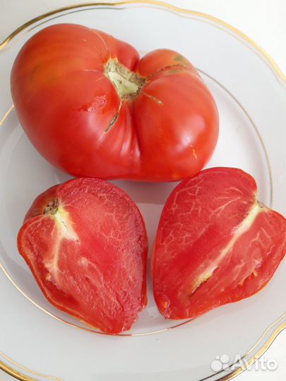 Семена коллекционных томатов