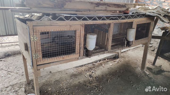 Клетки для кроликов