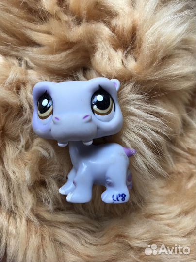 Животные LPS