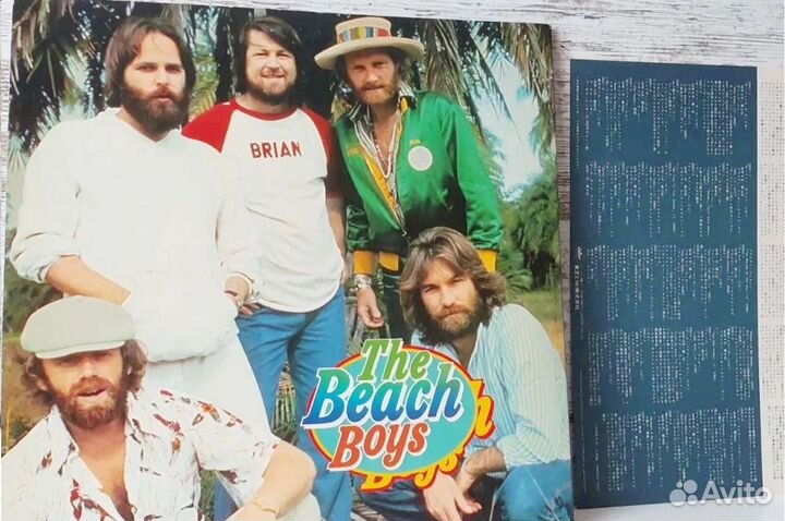 The Beach Boys -The Beach Boys, 2Lp /1979 Japan,NM