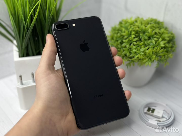 iPhone 8 Plus, 256 ГБ