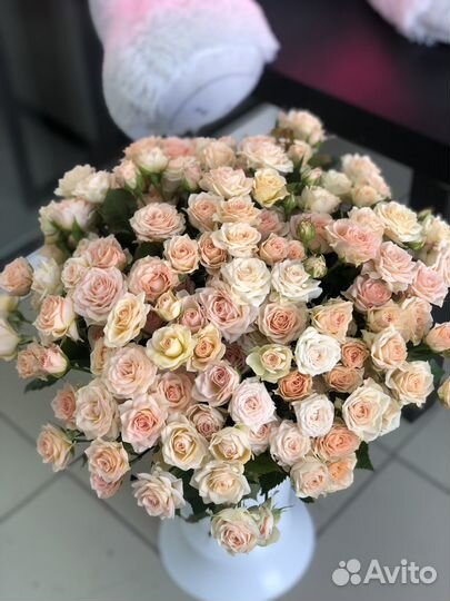 Розы кустовые цветы