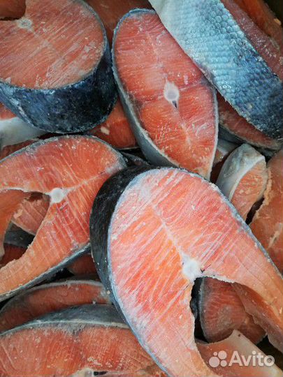 Рыба, морепродукты, семга, икра