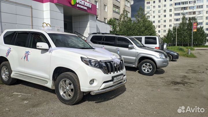 Аренда автомобиля