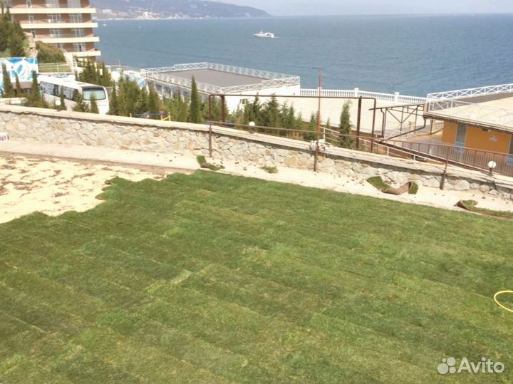 Рулонный газон